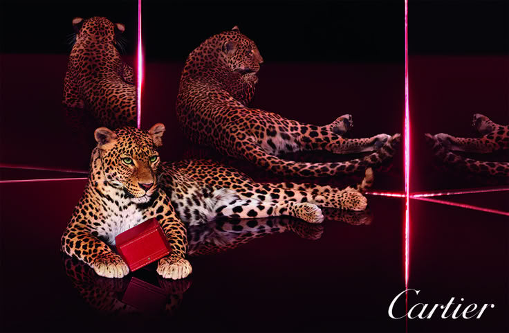 CARTIER PEN