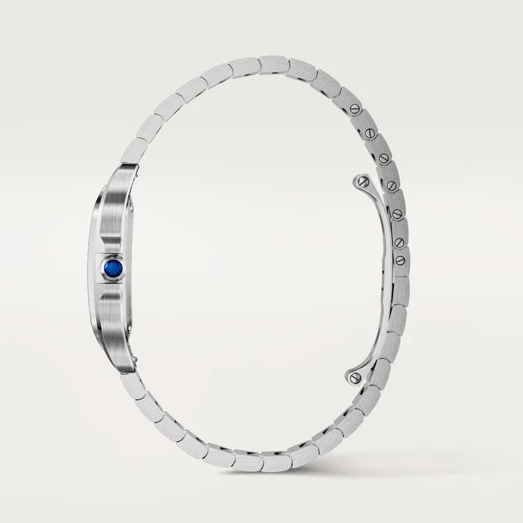 Santos de Cartier watch.